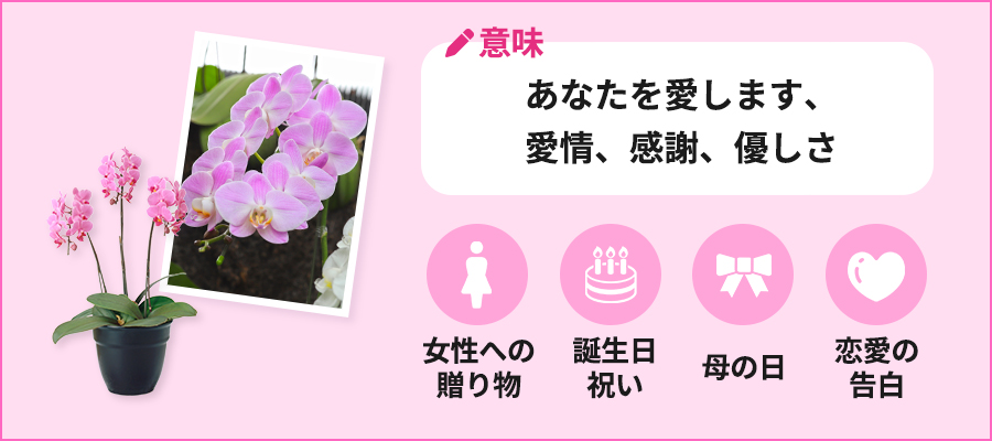 意味:あなたを愛します、愛情、感謝、優しさ