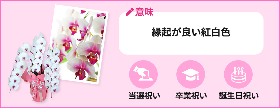 縁起が良い紅白色の赤リップ