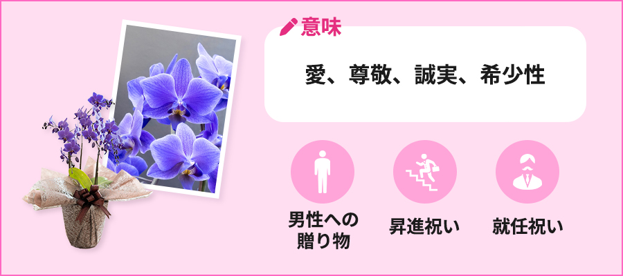 意味:愛、尊敬、誠実、希少性