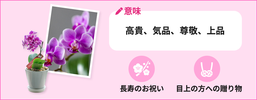 意味:高貴、気品、尊敬、上品