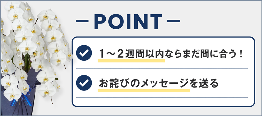 胡蝶蘭を贈るタイミングを逃したらどうする？遅れた場合のリカバリー方法