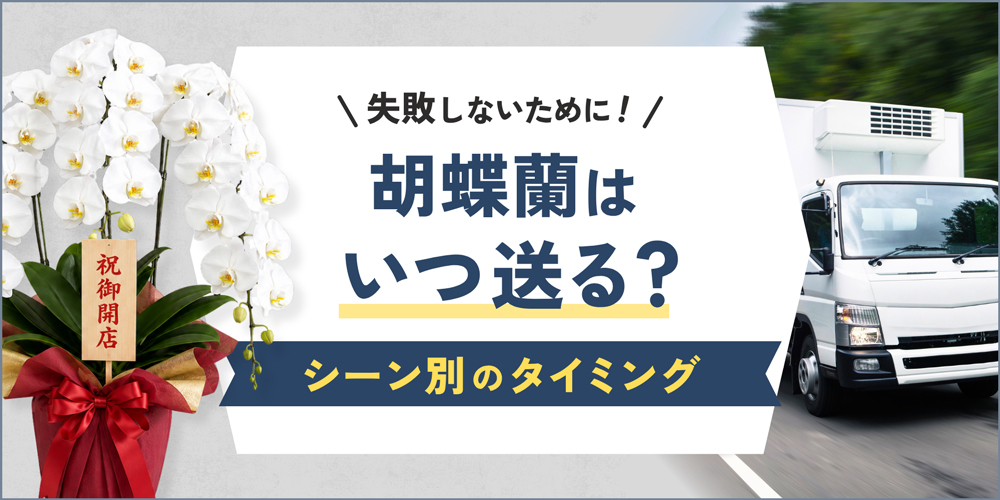 胡蝶蘭はいつ送るのが正解？シーン別のベストタイミングを徹底解説！
