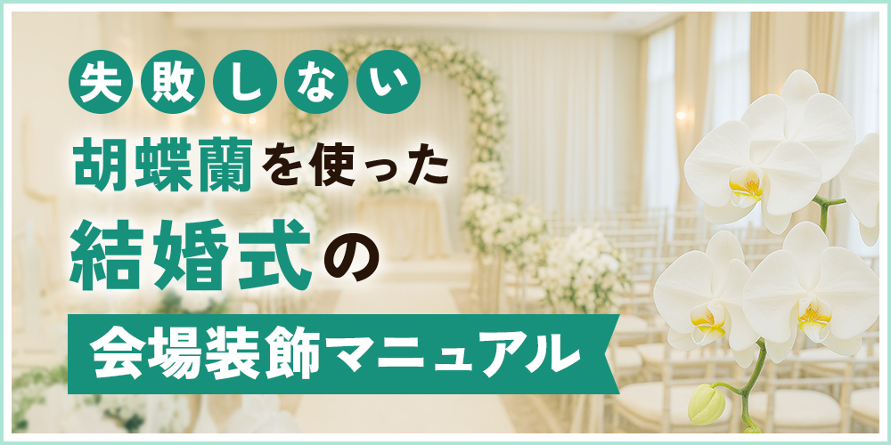 失敗しない！胡蝶蘭で魅せる結婚式会場装飾の完全マニュアル