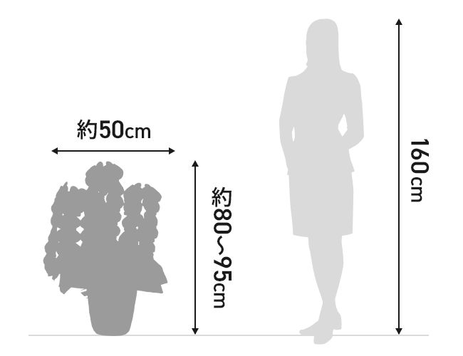 置き場所に困る
