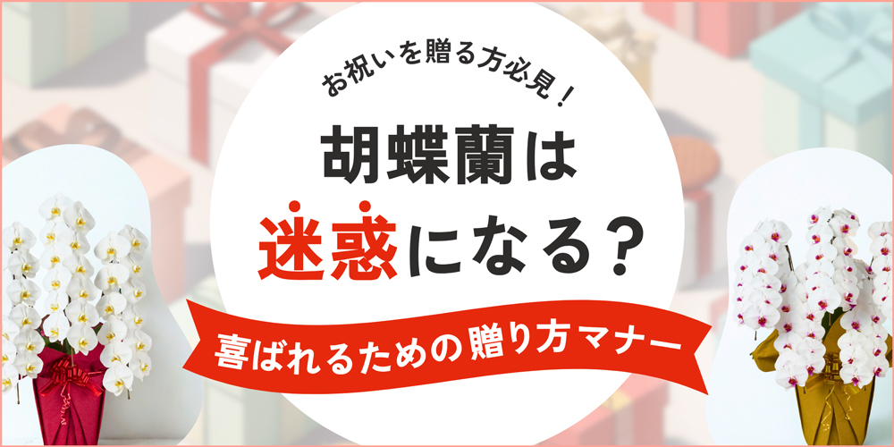 胡蝶蘭は迷惑？もらった人の本音・口コミと贈る際のマナーを解説