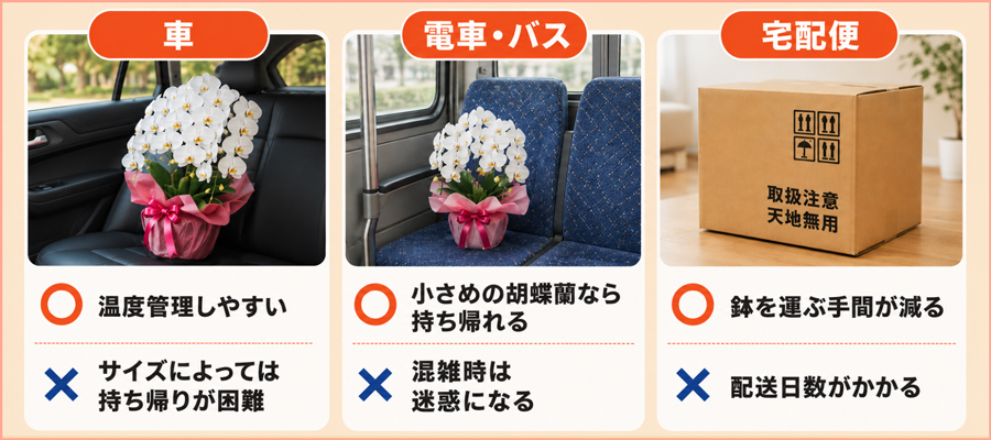 【手段別】胡蝶蘭の持ち帰り方と梱包のコツ