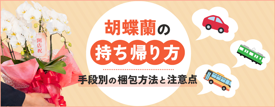 胡蝶蘭の持ち帰り方　手段別の梱包方法と注意点