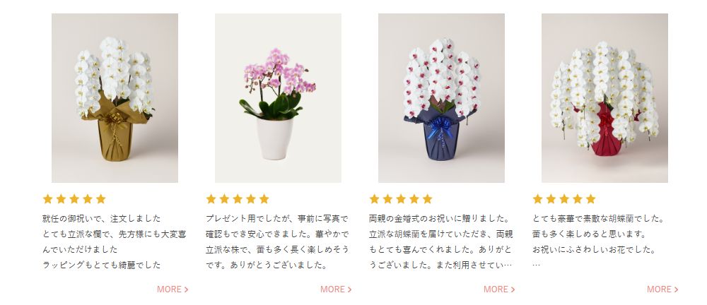 ほかのお客さんのレビュー