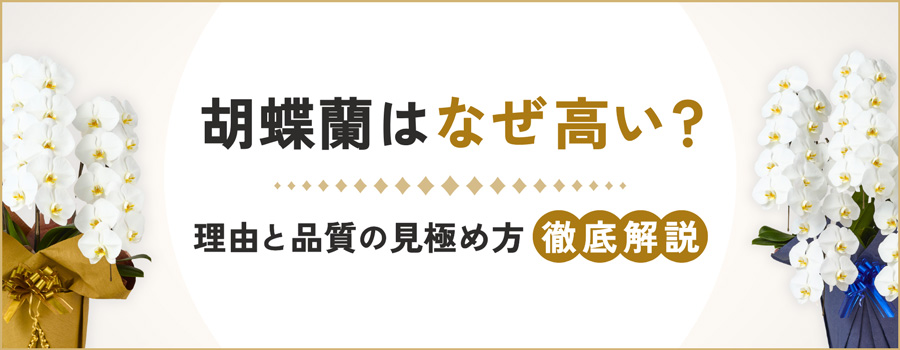 胡蝶蘭はなぜ高い