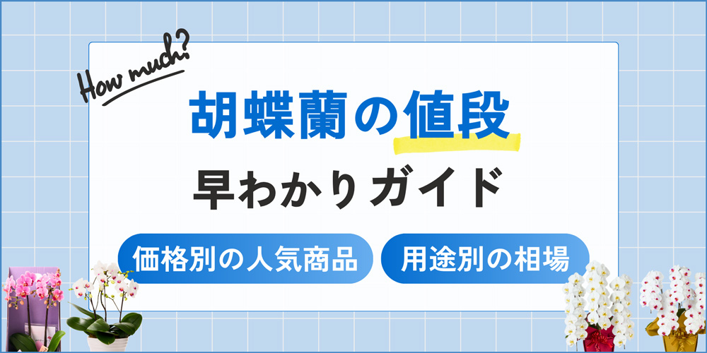 胡蝶蘭の値段相場早わかりガイド｜価格帯別・用途別の人気商品も紹介！