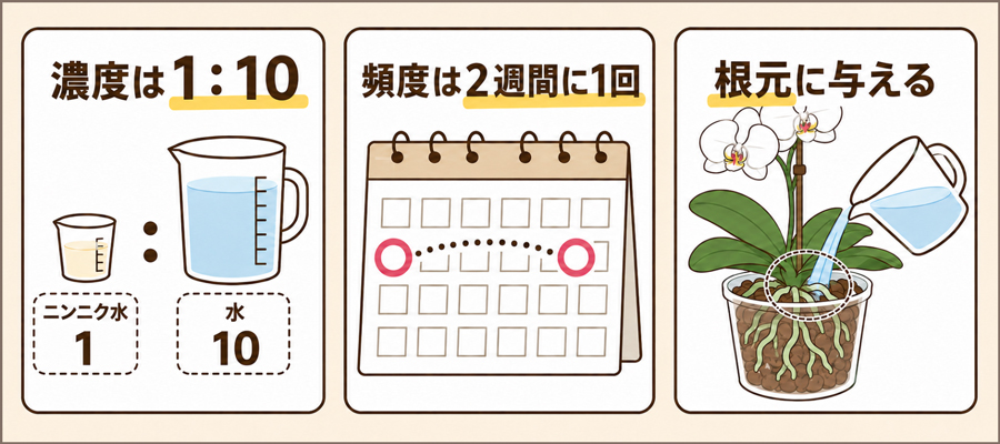 ニンニク水を効果的に使用するための濃度や使い方