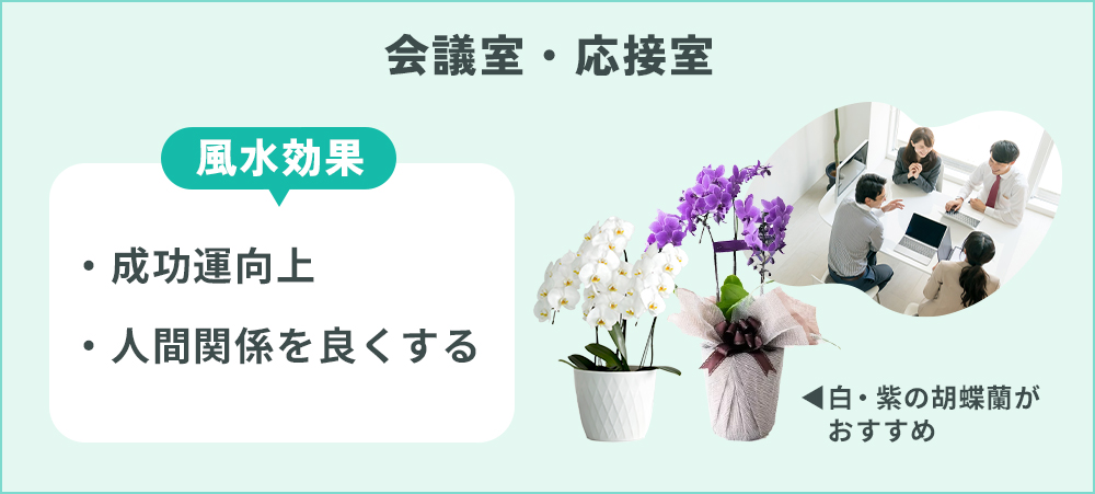 会議室・応接室に胡蝶蘭を置く効果