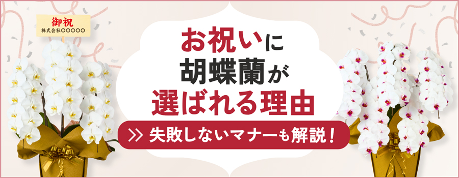 お祝いに胡蝶蘭が選ばれる理由