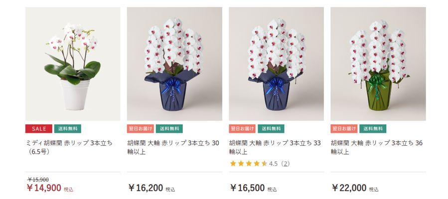 赤い胡蝶蘭はどこで購入できる？通販ショップがおすすめな理由