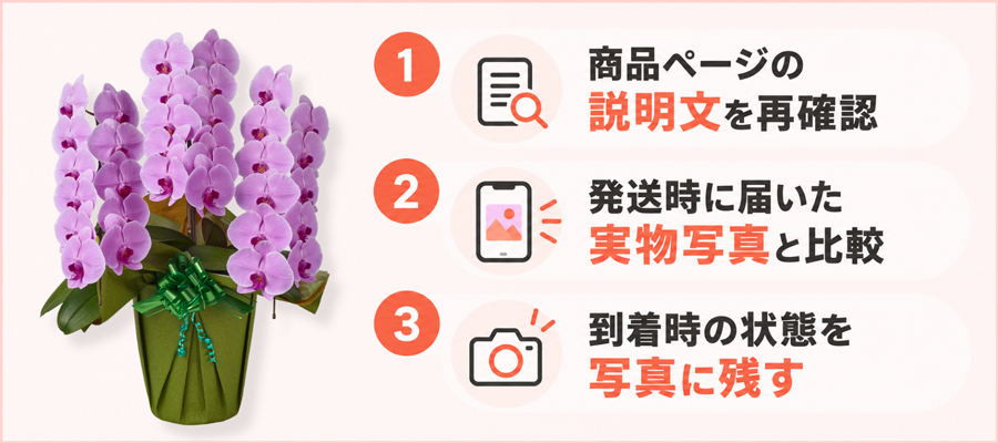 届いた胡蝶蘭が「写真と違う」と感じたら｜まず対応する3つのこと