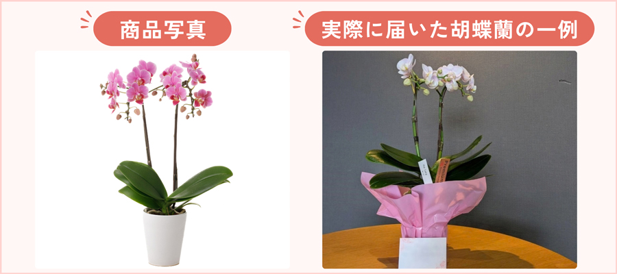 商品写真より色が濃い・薄い
