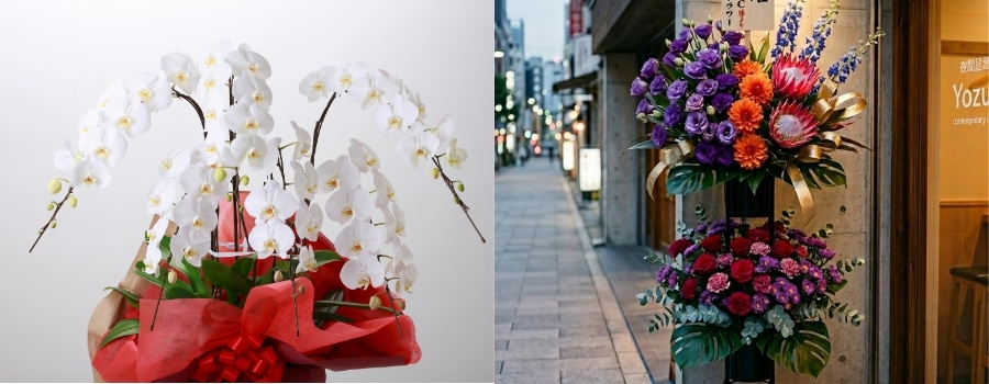 予算で選ぶ胡蝶蘭とスタンド花の比較