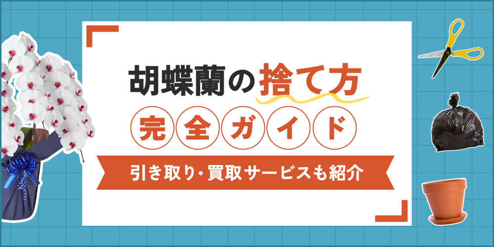 胡蝶蘭の捨て方ガイド！処分方法から引き取り・買取サービスまで徹底解説