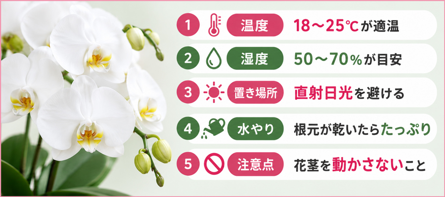 蕾を綺麗に咲かせるための5つの管理ポイント