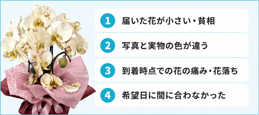 胡蝶蘭をネット通販で買う際によくある失敗パターンとその原因