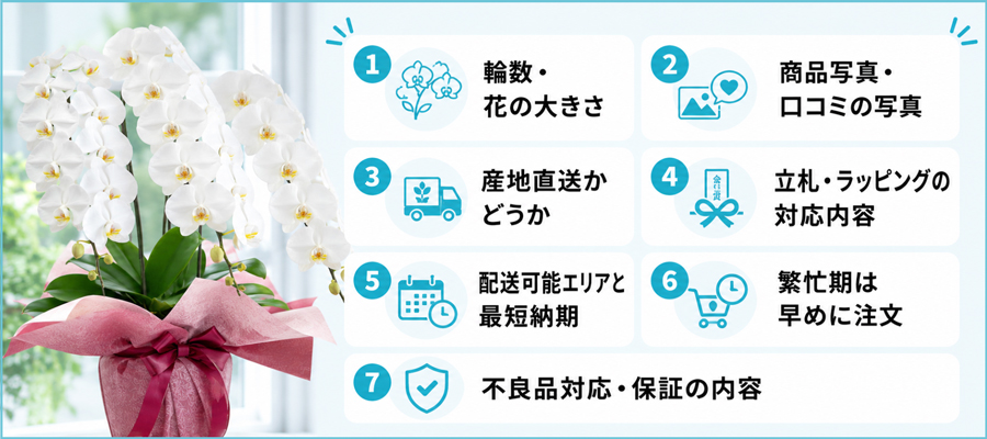 胡蝶蘭のネット通販利用で失敗を防ぐ！7つのチェックポイント