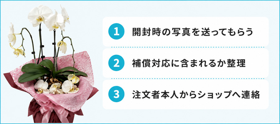 届いた胡蝶蘭に問題があったら？贈り主がやるべき対応3ステップ