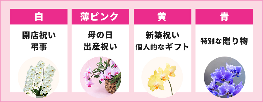 白・薄ピンク・黄・青