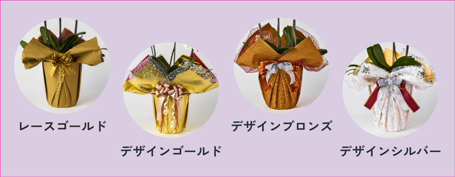 胡蝶蘭ラッピング