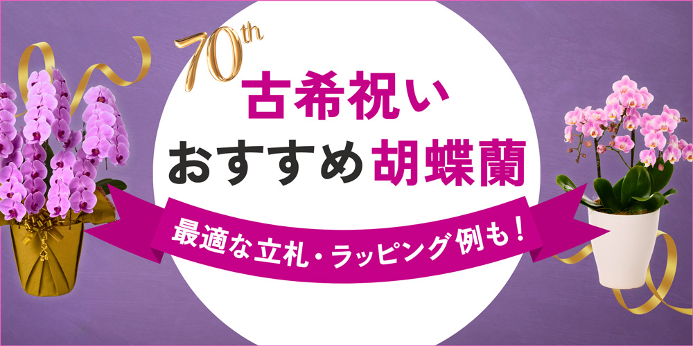 古希祝いにおすすめの胡蝶蘭6選｜価格相場やふさわしいラッピング選びも解説！