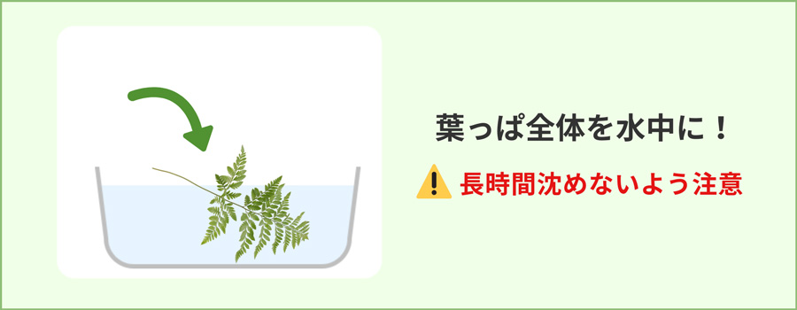 葉全体を水に沈める