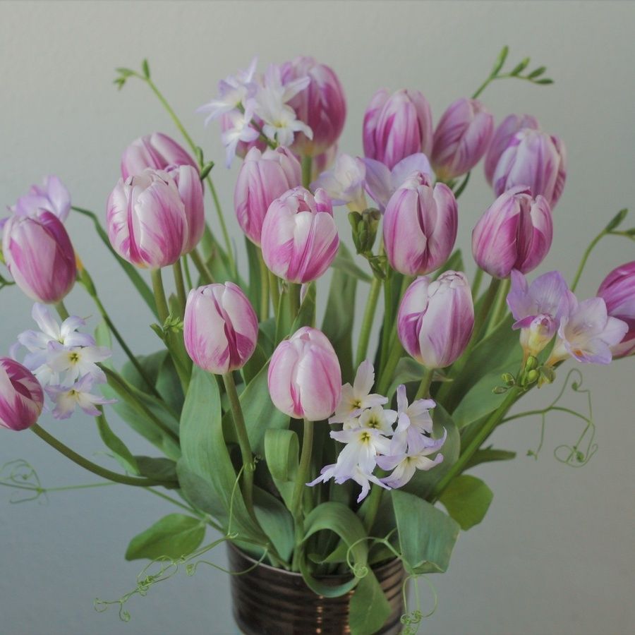 チューリップやラナンキュラスと一緒に飾る