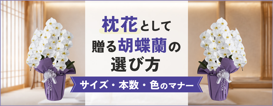 枕花として贈る胡蝶蘭の選び方