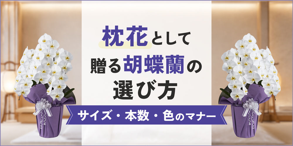 枕花として贈る胡蝶蘭｜サイズ・本数・色の選び方と手配のマナー