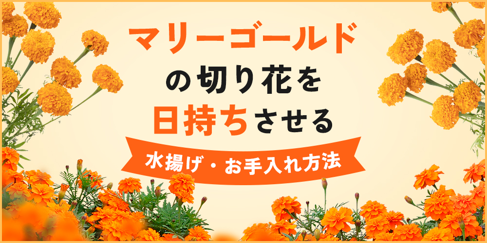 【簡単】ひまわりのおしゃれな飾り方！初心者でも上手に生けるコツとは？