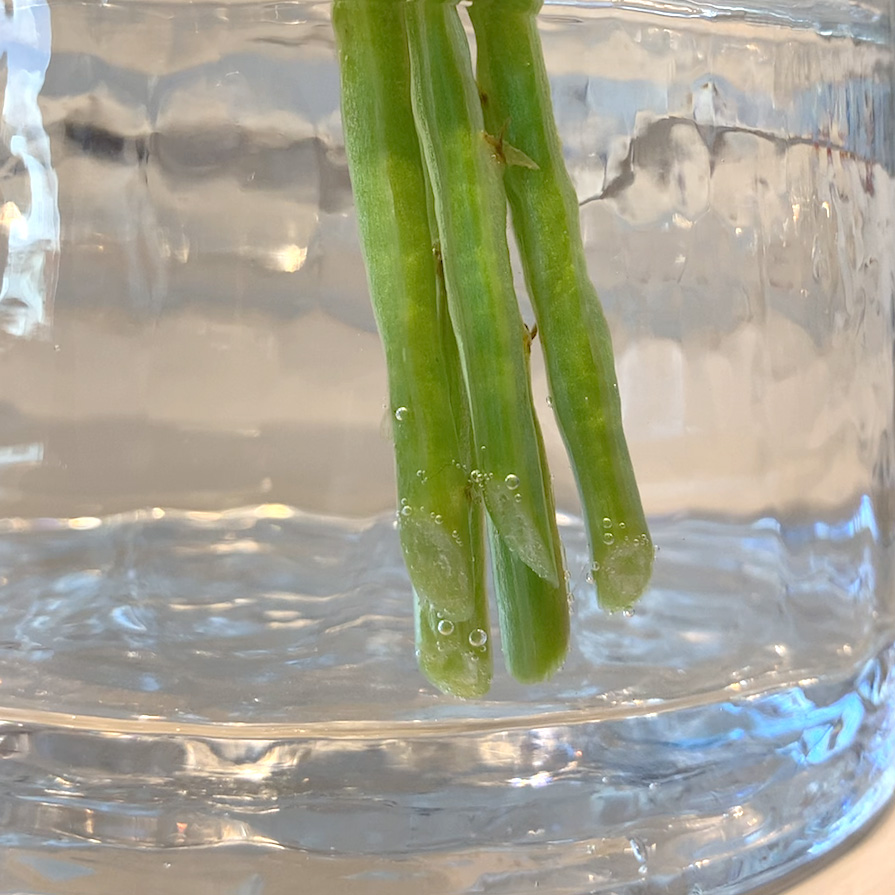 80℃以上のお湯につける
