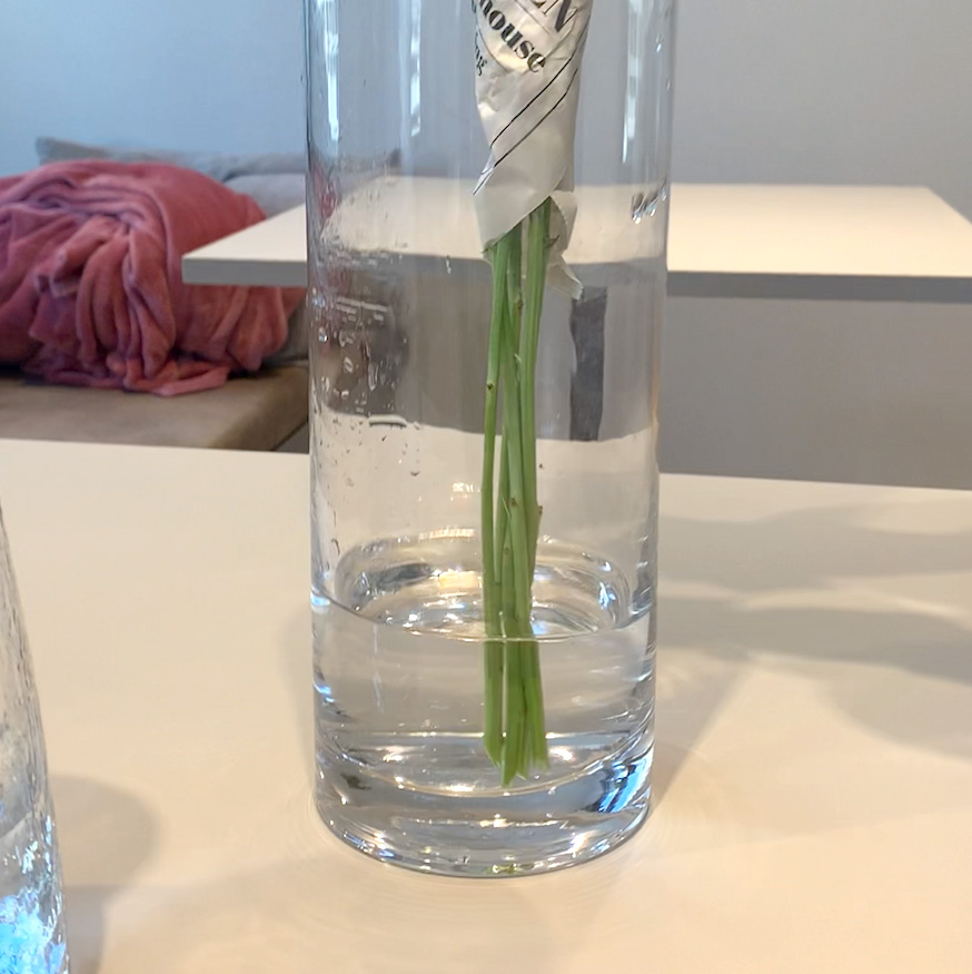 冷水に移す