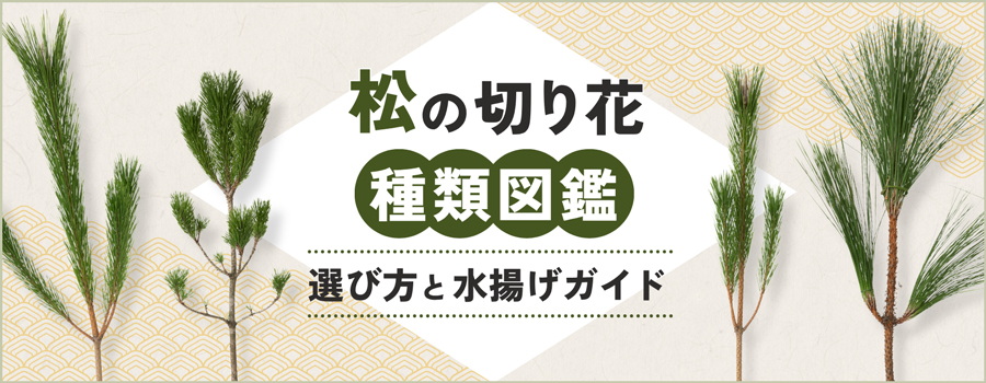 松の切り花種類図鑑