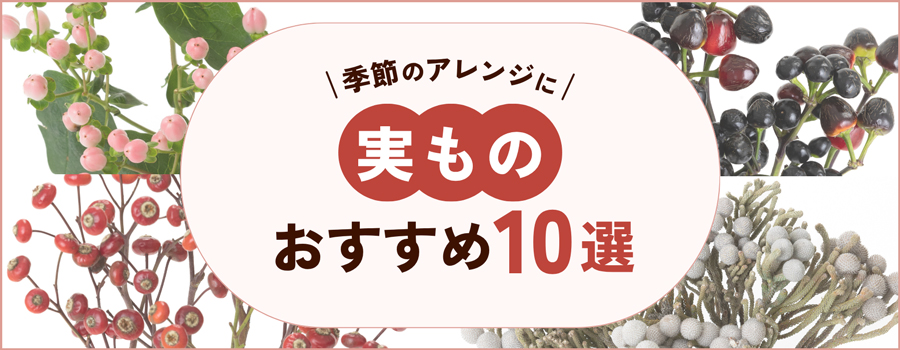 実もの　おすすめ10選