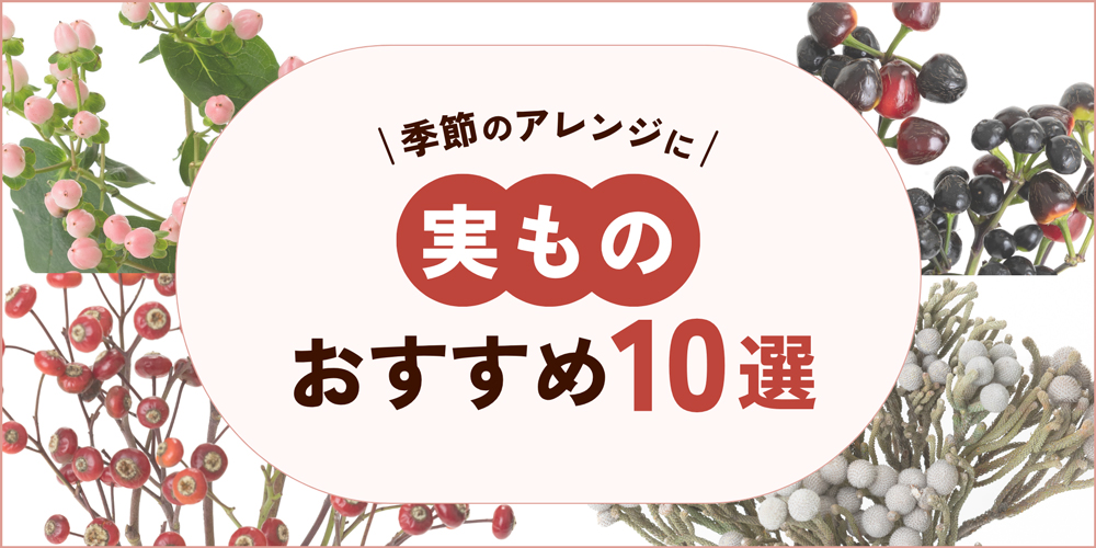 実もの（実のなる花）おすすめ10選｜季節・用途別の人気アイテムも紹介