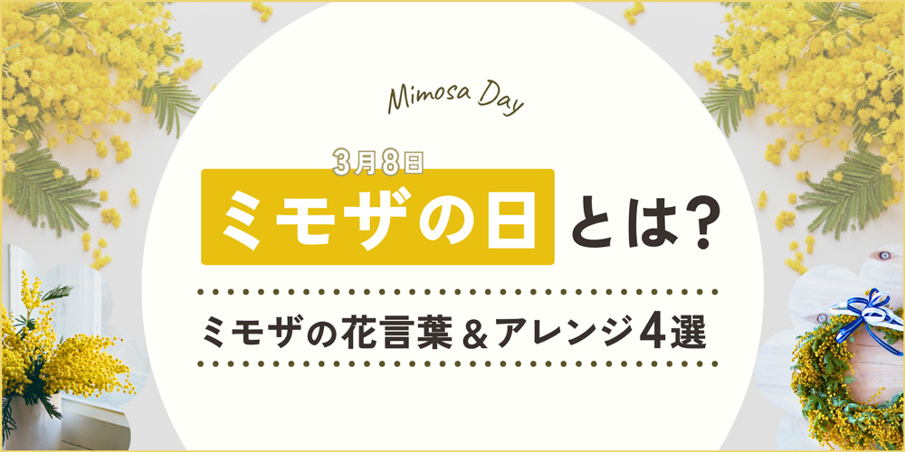 ミモザの日とは？3月8日の国際女性デーに贈る！ミモザの花言葉とアレンジ4選