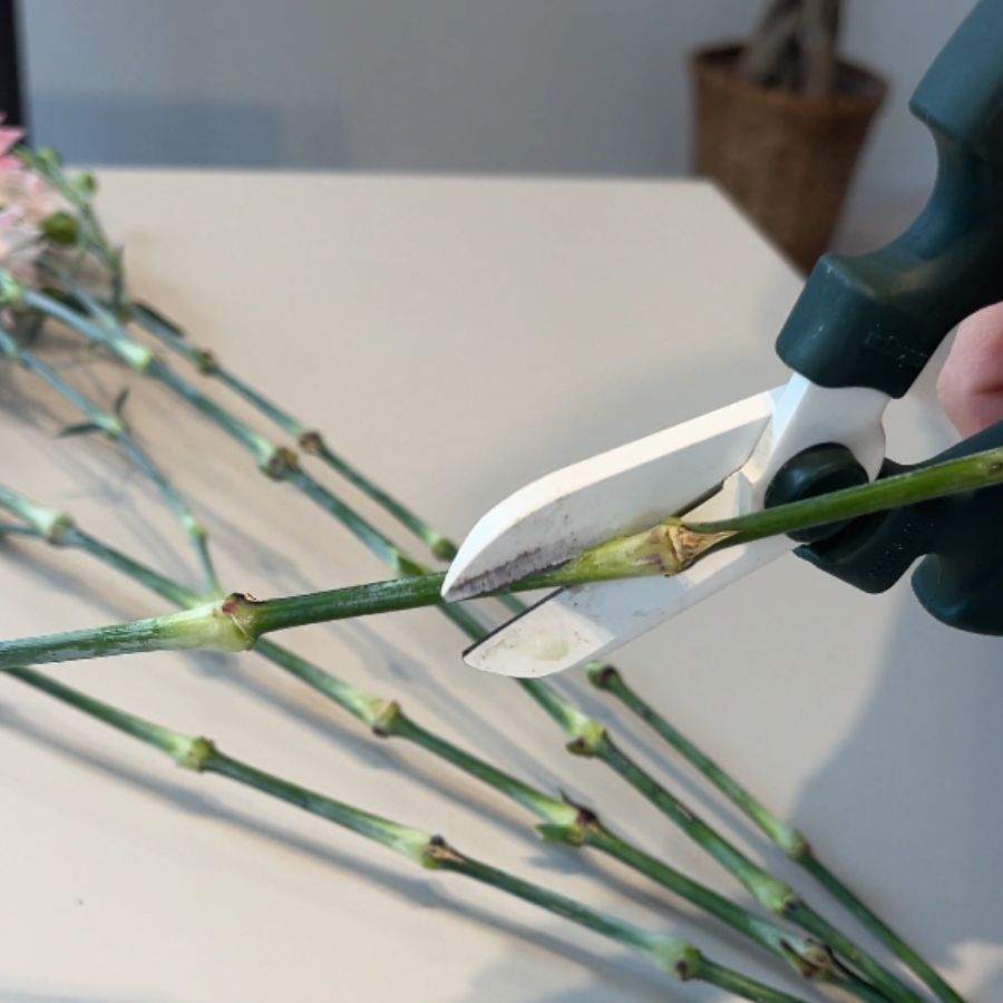 水中で茎の先端を斜めにカットする