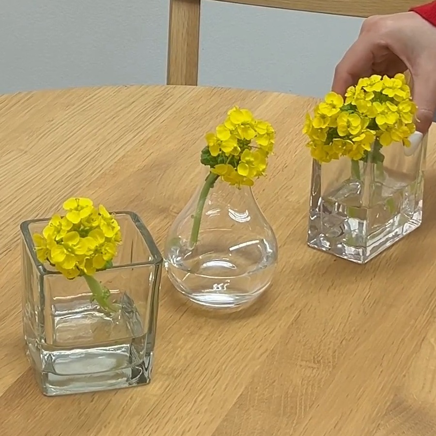 小さめの花瓶に小ぶりに生ける