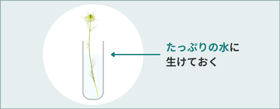 深めの水に生ける