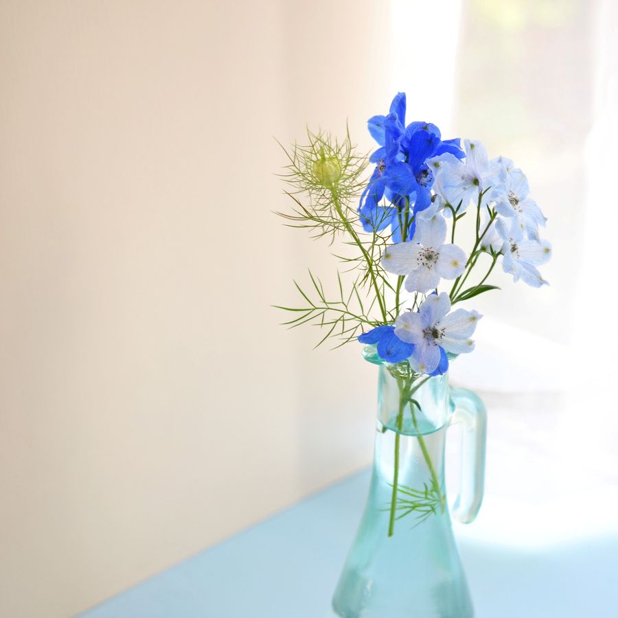 花が散ったらグリーンとして飾る