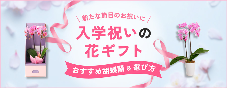 入学祝いの花ギフト