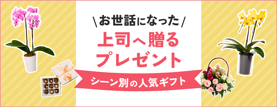 お世話になった上司へ贈るプレゼント