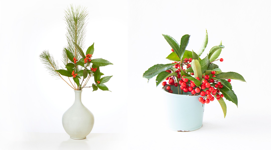 お正月の花の飾り方を徹底解説！正月花を飾る時期や生け方の