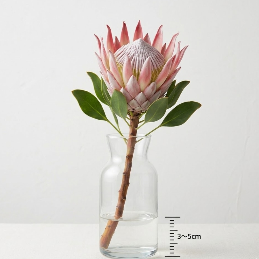 花瓶などの水に生ける