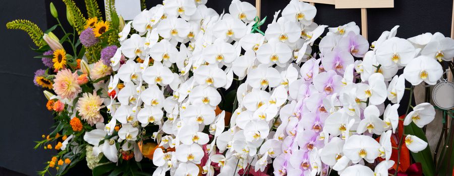 【関係性別】落成・竣工祝いの予算相場