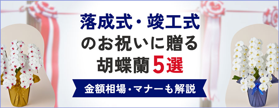 落成式・竣工式のお祝いに贈る胡蝶蘭5選